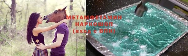 прущие грибы Беломорск