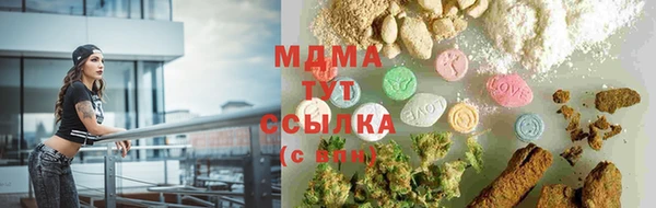 прущие грибы Беломорск
