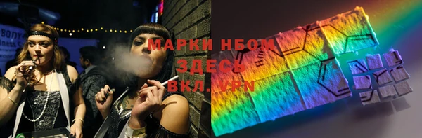 хмурый Белокуриха