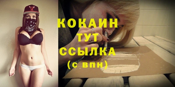 хмурый Белокуриха