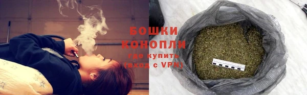 хмурый Белокуриха