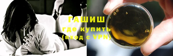 хмурый Белокуриха