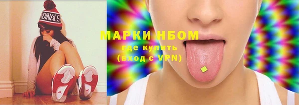 хмурый Белокуриха