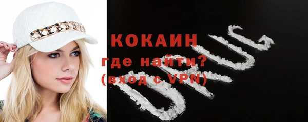 прущие грибы Беломорск