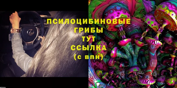 гашик Белоозёрский