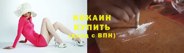 хмурый Белокуриха