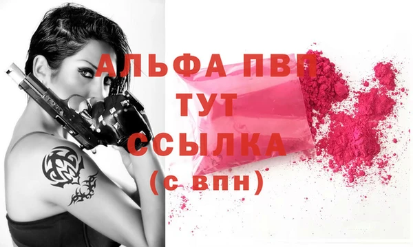 хмурый Белокуриха