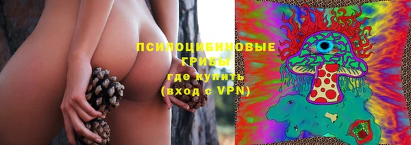 хмурый Белокуриха