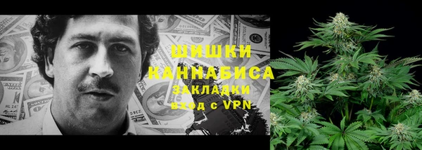 прущие грибы Беломорск