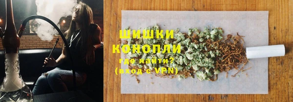 прущие грибы Беломорск
