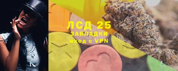 прущие грибы Беломорск